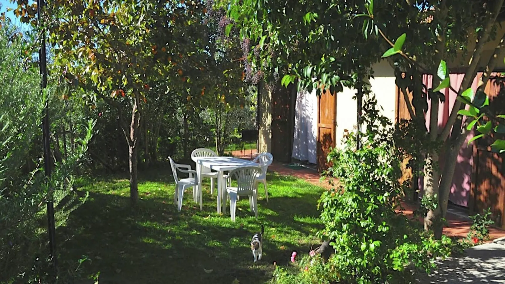 Chic Farmhouse In Asciano Italy With Swimming Pool Holiday home