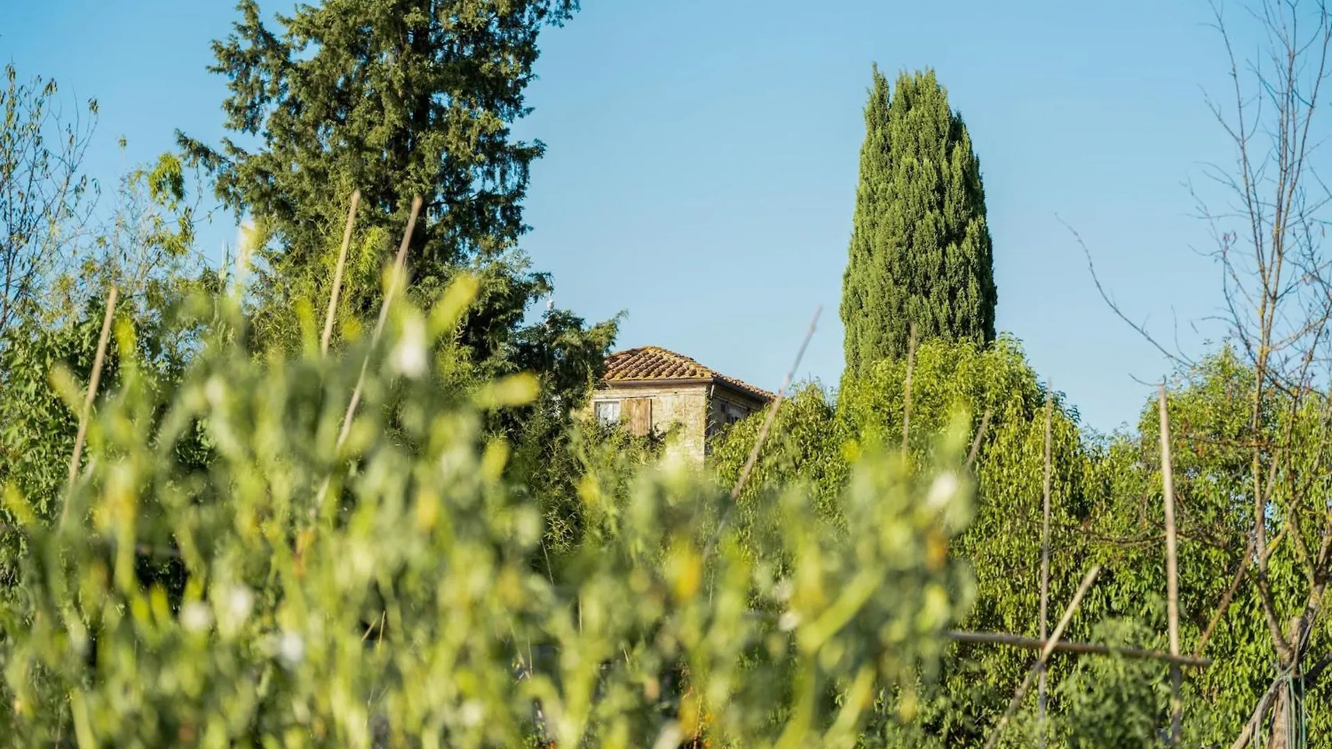 Chic Farmhouse In Asciano Italy With Swimming Pool 0*,  Italy